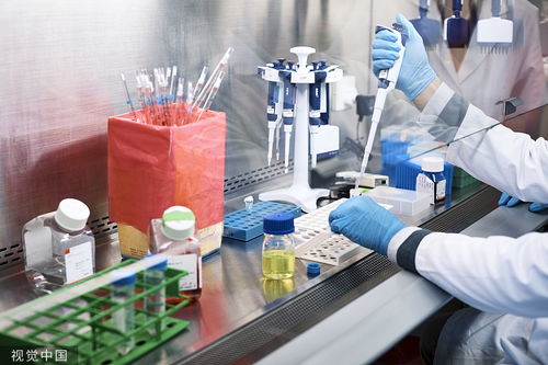 中國生物技術在癌癥早篩領域的技術研發與轉讓前景