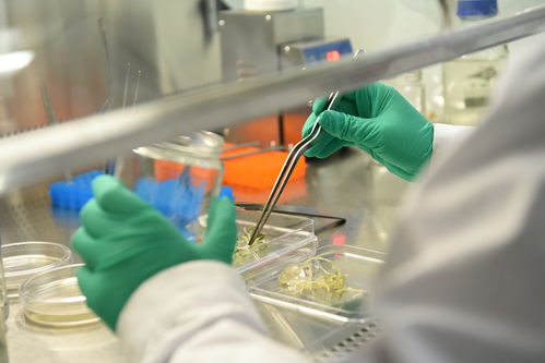 舜豐生物 以核心技術驅動，助力北方打造種業之都