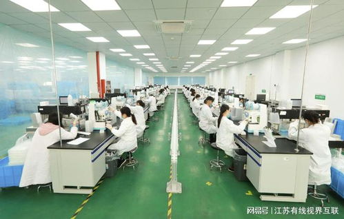 砥礪前行 打造生物醫(yī)藥民族品牌，引領(lǐng)技術(shù)研發(fā)與轉(zhuǎn)讓新篇章