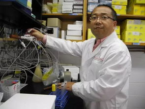 科技賦能，古樹新生 姜明國與生物科技讓六堡茶煥發青春